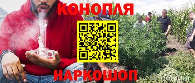 гидра Ярцево